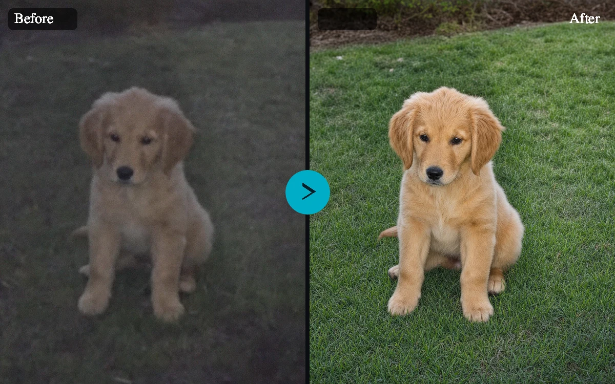 AI Photo Enhancer example